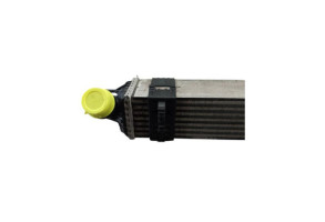 Echangeur air (Intercooler) RENAULT LAGUNA 3 Photo n°6