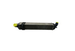 Echangeur air (Intercooler) RENAULT LAGUNA 3 Photo n°7