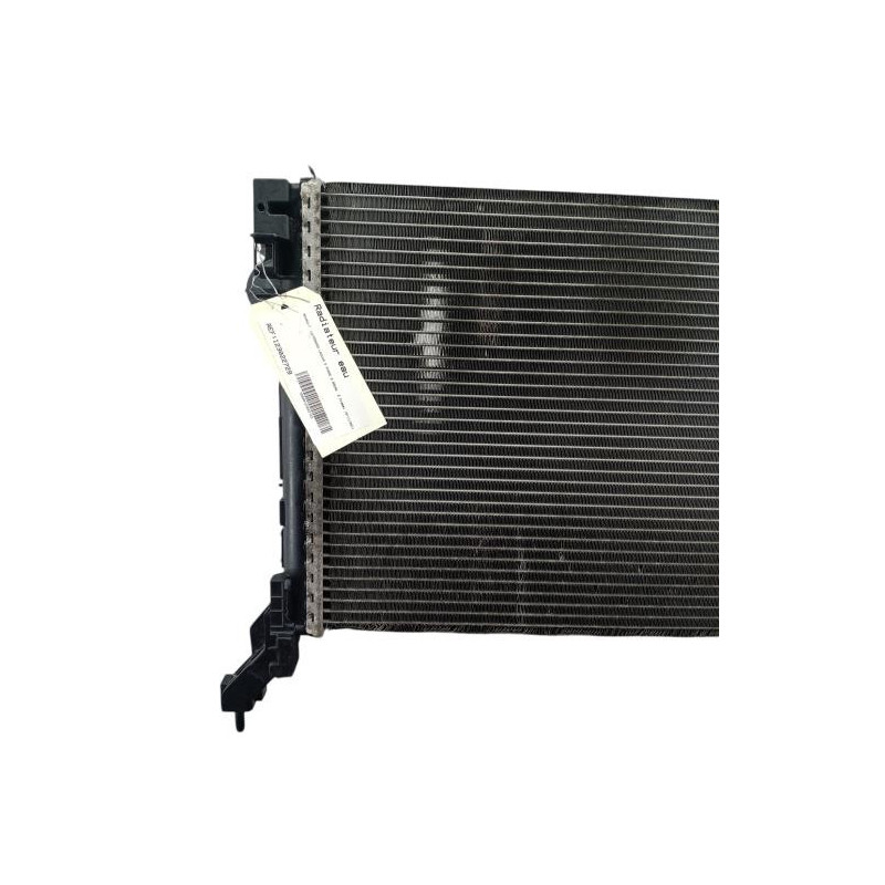 Radiateur eau RENAULT LAGUNA 3 Photo n°1