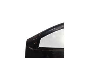 Porte avant gauche DACIA SANDERO 2 Photo n°3