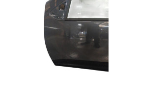 Porte avant gauche DACIA SANDERO 2 Photo n°8