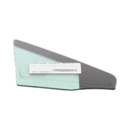 Custode avant droit (porte) RENAULT SCENIC 3