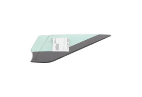 Custode avant droit (porte) RENAULT SCENIC 3 Photo n°2