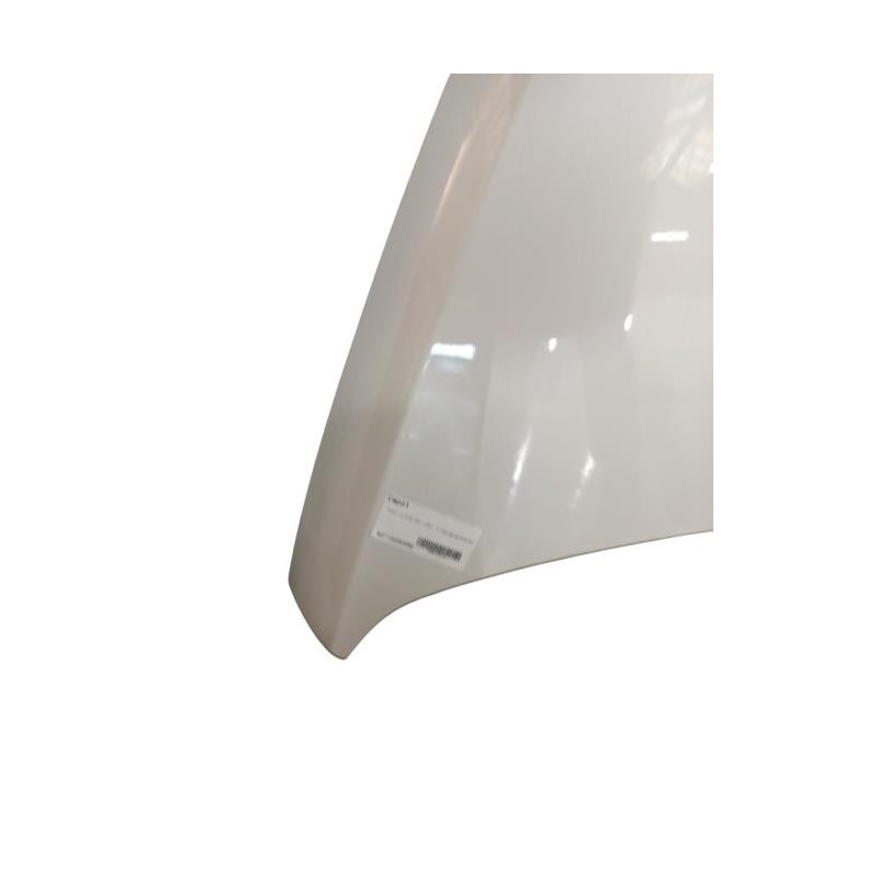 Capot PEUGEOT 3008 1 Photo n°1