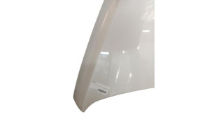 Capot PEUGEOT 3008 1 Photo n°1