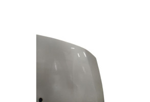 Capot PEUGEOT 3008 1 Photo n°3