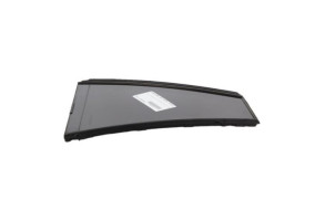 Custode arriere droit (porte) RENAULT LAGUNA 3 Photo n°2