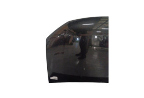 Capot DACIA SANDERO 2 Photo n°4