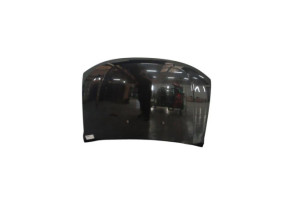 Capot DACIA DUSTER 1 Photo n°7