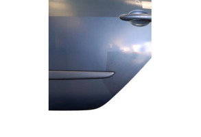 Porte arriere gauche RENAULT GRAND MODUS Photo n°2