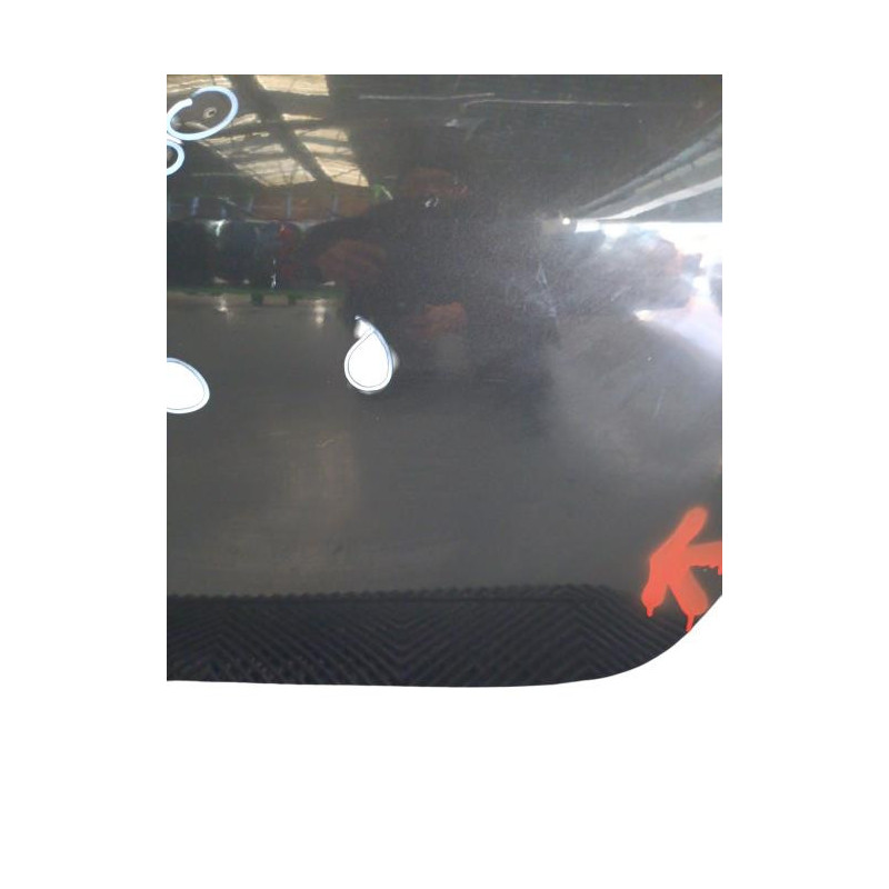 Porte arriere gauche DACIA DUSTER 1 Photo n°1