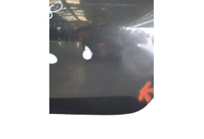 Porte arriere gauche DACIA DUSTER 1 Photo n°1