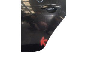 Porte arriere gauche DACIA DUSTER 1 Photo n°2