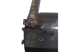 Porte arriere gauche DACIA DUSTER 1 Photo n°10