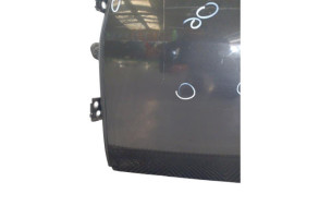 Porte arriere gauche DACIA DUSTER 1 Photo n°11