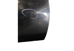 Porte avant droit DACIA DUSTER 1 Photo n°8