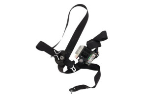 Ceinture avant gauche CITROEN C4 2 Photo n°2