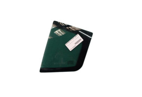 Custode arriere gauche (porte) RENAULT MEGANE 3 Photo n°1