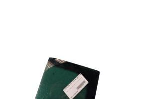 Custode arriere gauche (porte) RENAULT MEGANE 3 Photo n°2