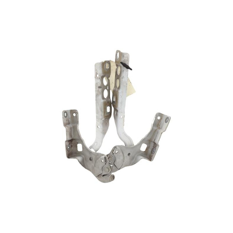 Charniere de capot CITROEN C4 2 Photo n°1