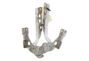 Charniere de capot CITROEN C4 2 Photo n°1