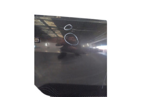 Porte arriere droit DACIA DUSTER 1 Photo n°6