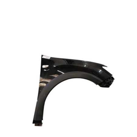 Aile avant droit DACIA SANDERO 2