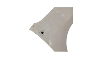 Aile avant droit RENAULT KANGOO 2 Photo n°3