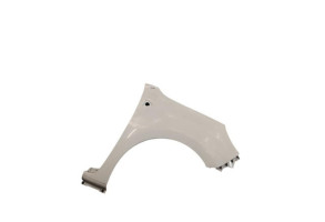 Aile avant droit RENAULT KANGOO 2 Photo n°5