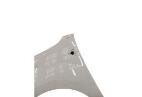 Aile avant gauche RENAULT KANGOO 2 Photo n°3