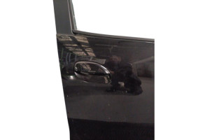 Porte avant droit DACIA SANDERO 2 Photo n°5