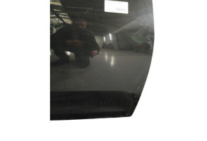 Porte avant droit DACIA SANDERO 2 Photo n°8