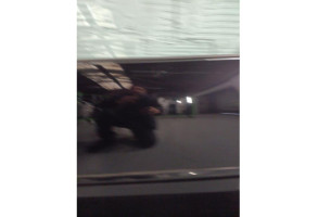 Porte avant gauche VOLKSWAGEN GOLF 5 Photo n°6