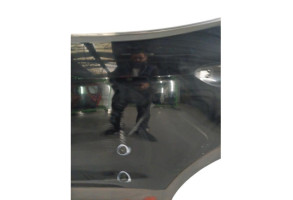 Porte arriere gauche HYUNDAI SANTA FE 3 Photo n°2