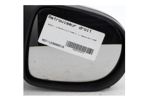 Retroviseur droit RENAULT CLIO 3 Photo n°10
