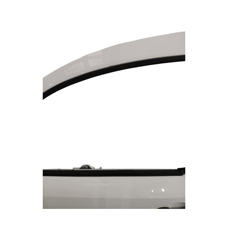 Porte avant gauche RENAULT KANGOO 2 Photo n°1