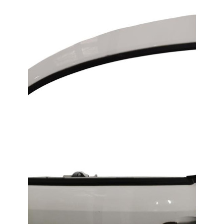 Porte avant gauche RENAULT KANGOO 2