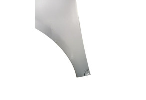 Aile avant gauche VOLKSWAGEN GOLF 5 Photo n°6