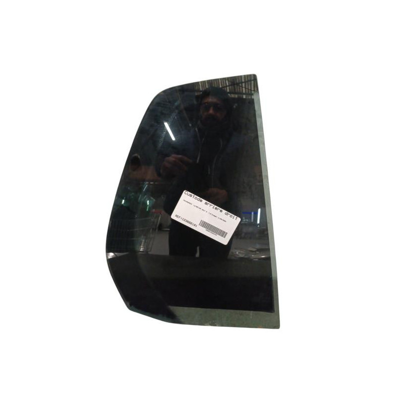 Custode arriere droit (porte) VOLKSWAGEN GOLF 5 Photo n°1