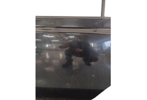 Porte arriere gauche NISSAN MICRA 3 Photo n°6