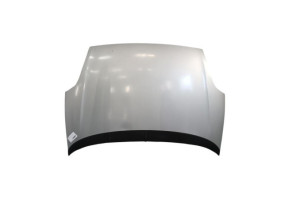 Capot FIAT GRANDE PUNTO Photo n°1