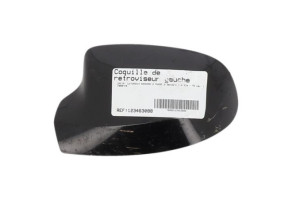 Coquille de retroviseur gauche DACIA SANDERO 2 Photo n°3