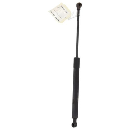 Verin de capot RENAULT CLIO 4