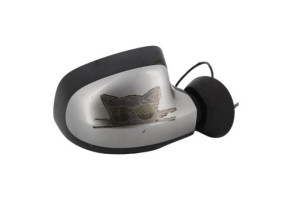 Retroviseur droit DACIA DUSTER 1 Photo n°1