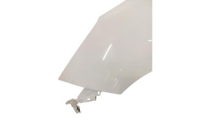 Aile avant gauche CITROEN C3 2 Photo n°5