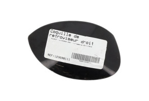 Coquille de retroviseur droit PEUGEOT 206+ Photo n°3