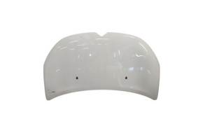 Capot CITROEN C3 3 Photo n°1