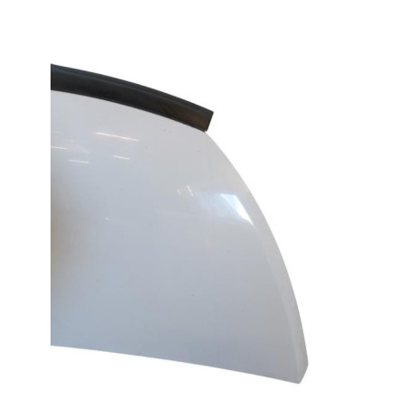 Capot RENAULT TRAFIC 3 COURT