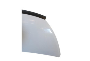 Capot RENAULT TRAFIC 3 COURT Photo n°1