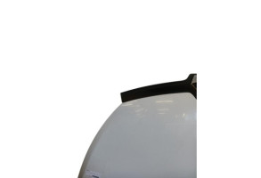 Capot RENAULT TRAFIC 3 COURT Photo n°6